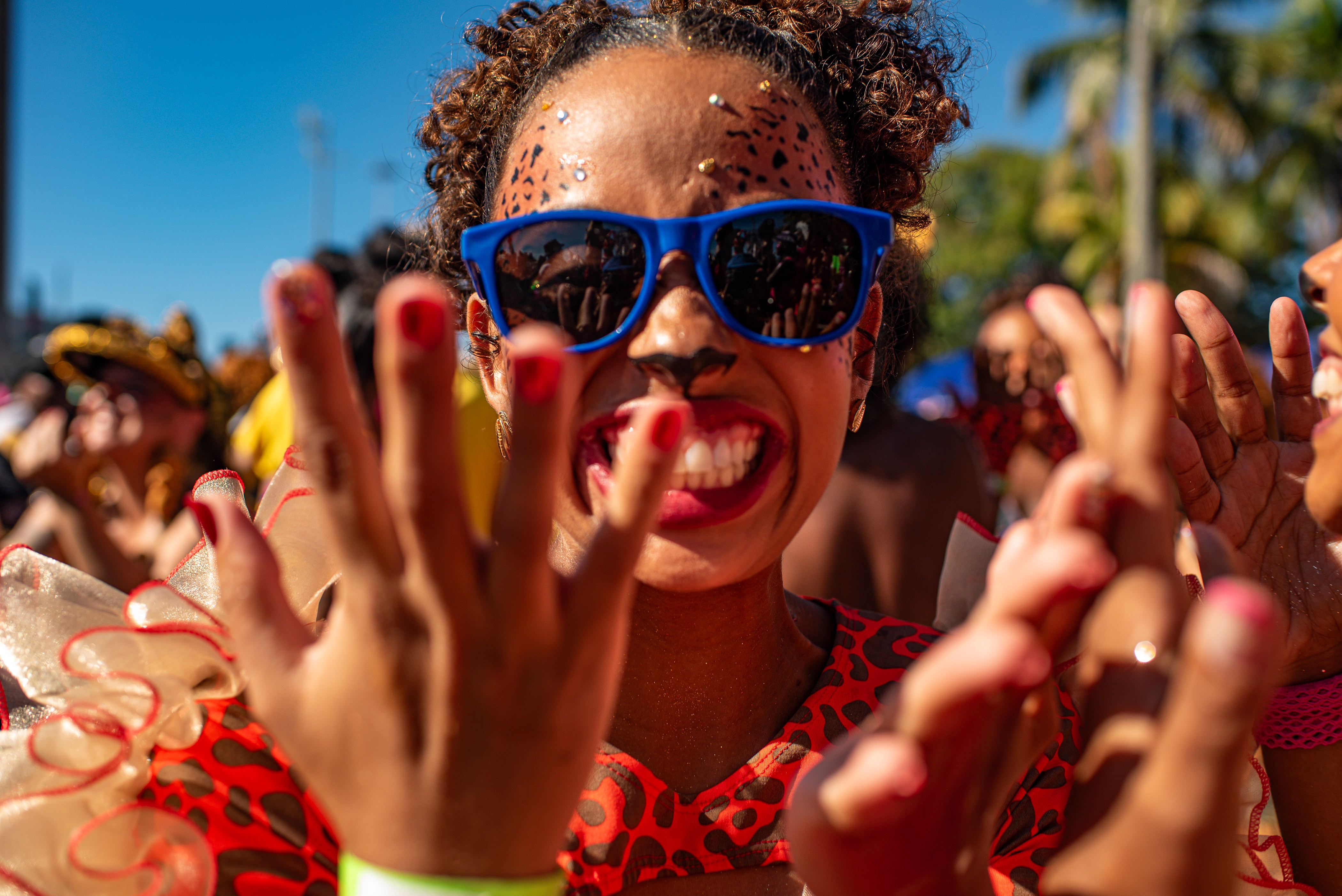 Carnaval & Rua